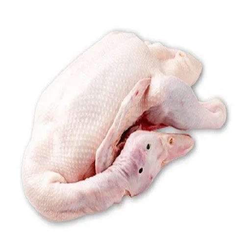 Frozen Duck Meat Organic Halal Best Quality Duck Cheap Price