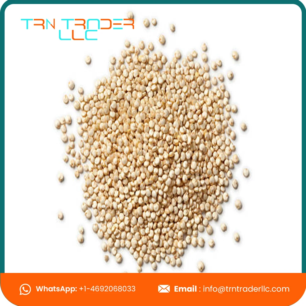 Оптовая поставка органического белого хиноа из США от ведущих поставщиков