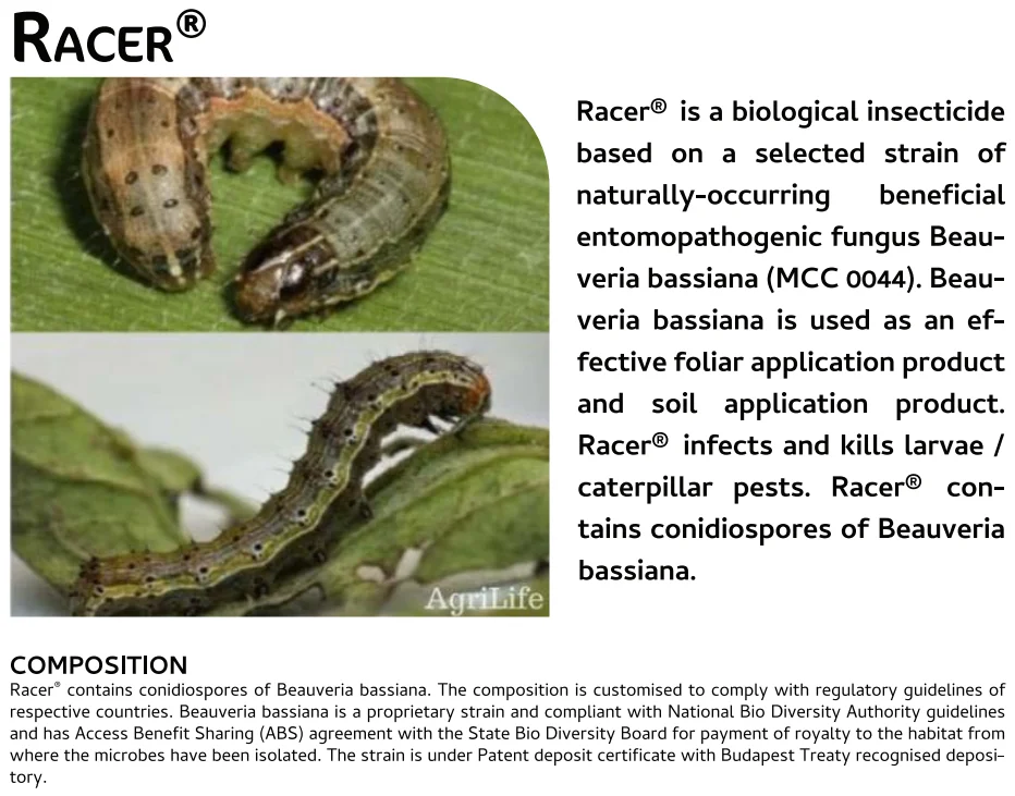 Screenshot (1061).png