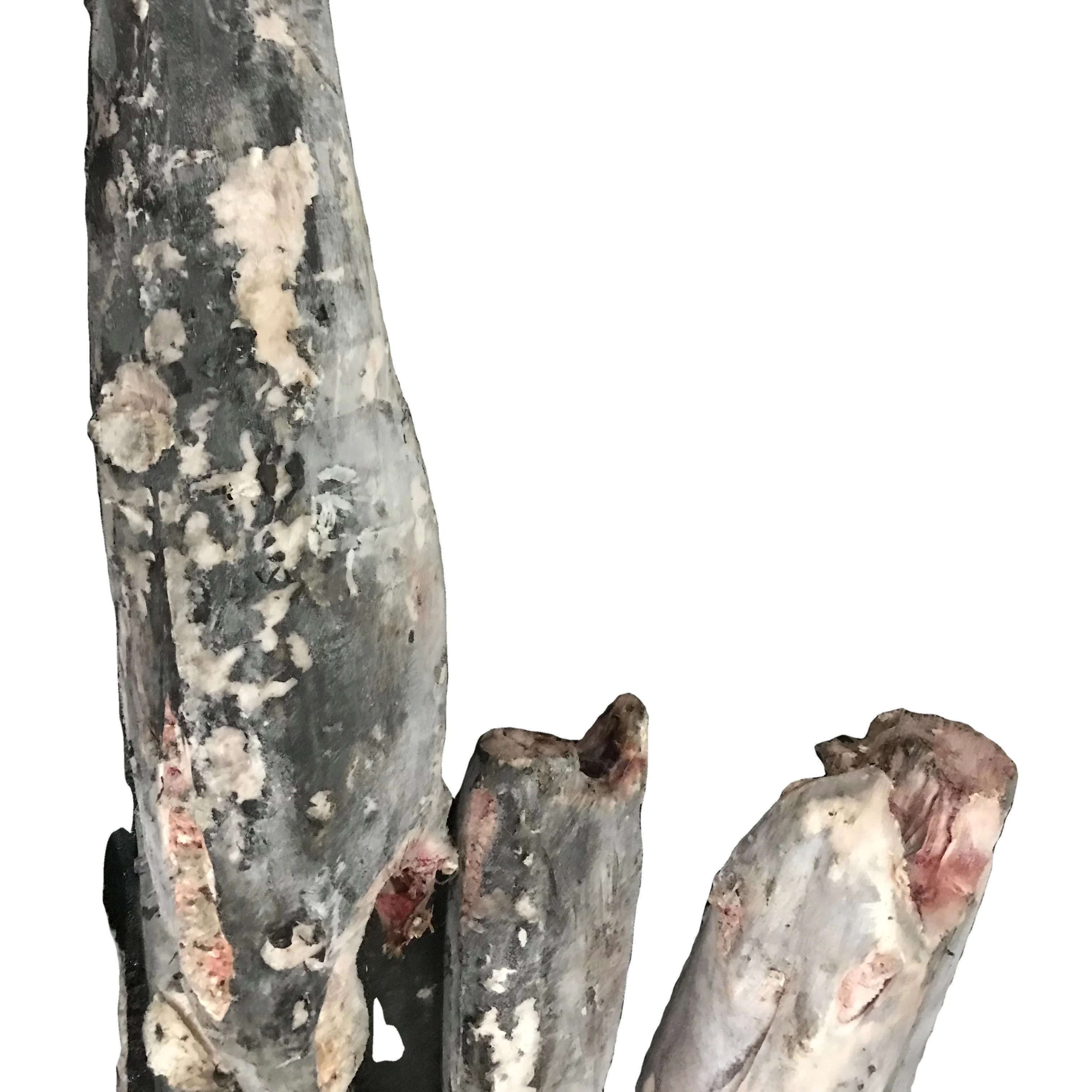 Wholesale Sword Fish DWT Sea Frozen Swordfish HGT