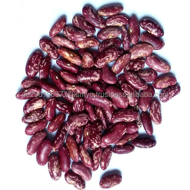 red-kidney-beans-10.jpg