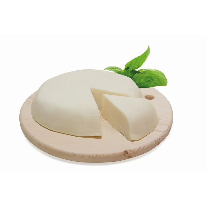 High Quality Italian VASTEDDA DELLA VALLE DEL BELICE D.O.P. sheep milk cheese 0.6kg Vacuum Pack for export