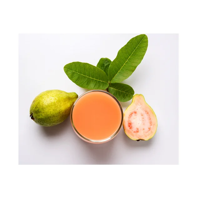 Organic Best Selling Fresh Guava Fruit In Low Price