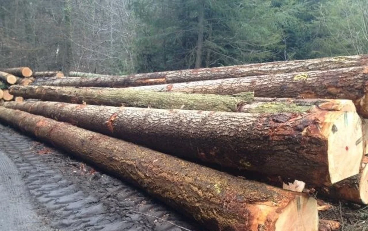 Fir Logs 4ss