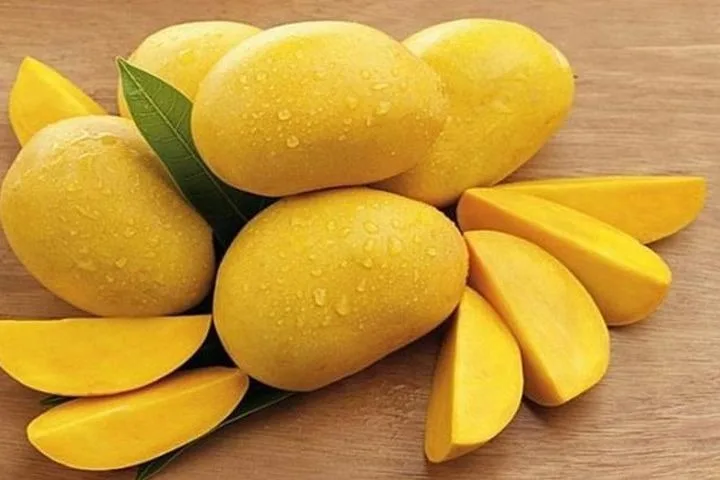 Fresh Mango High Quality Vietnam Fresh Fruit Mango Cheap Price