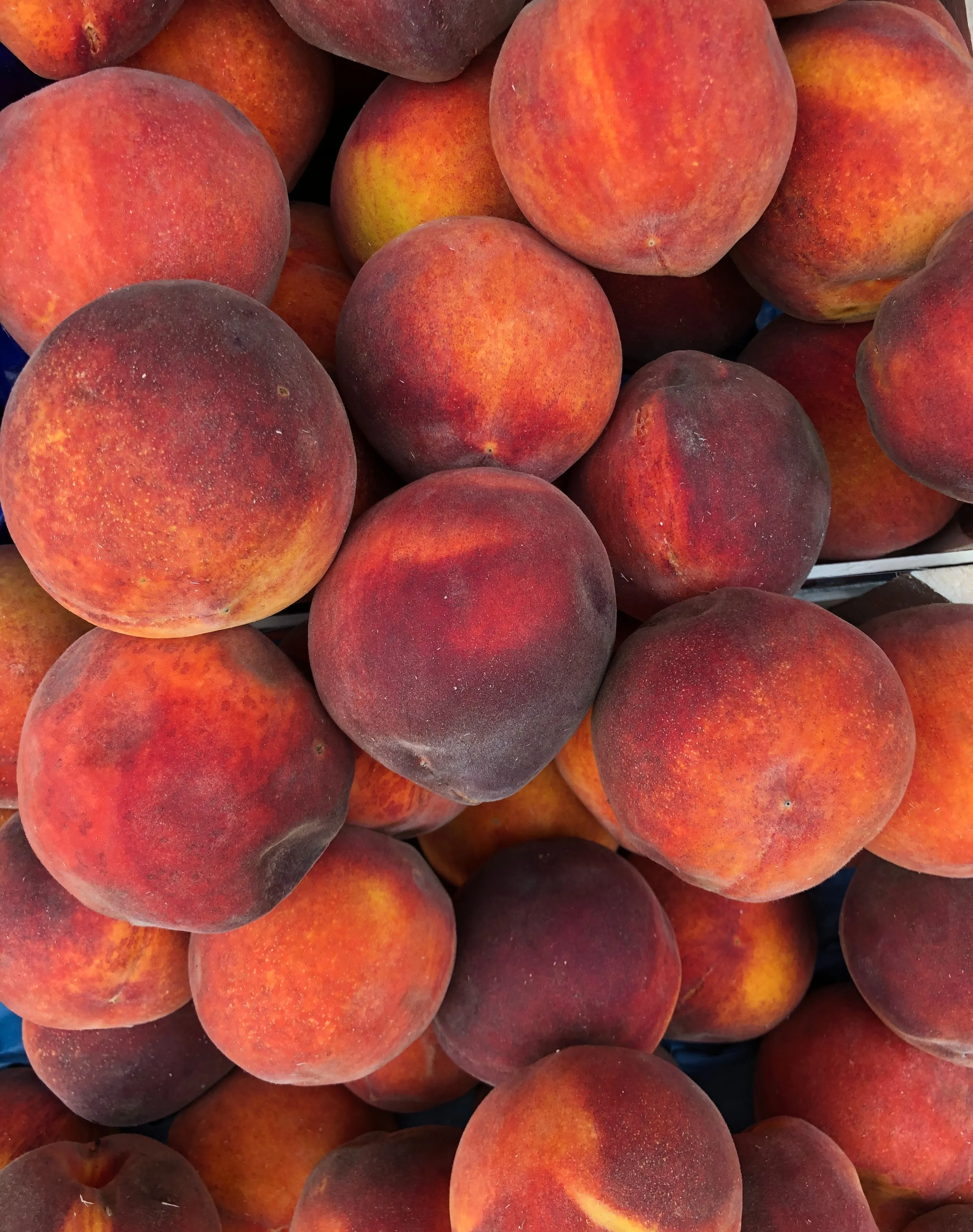 Fresh Peach Unique Taste Delicious Turkish Peach Plastic Crates Cardboard Boxes
