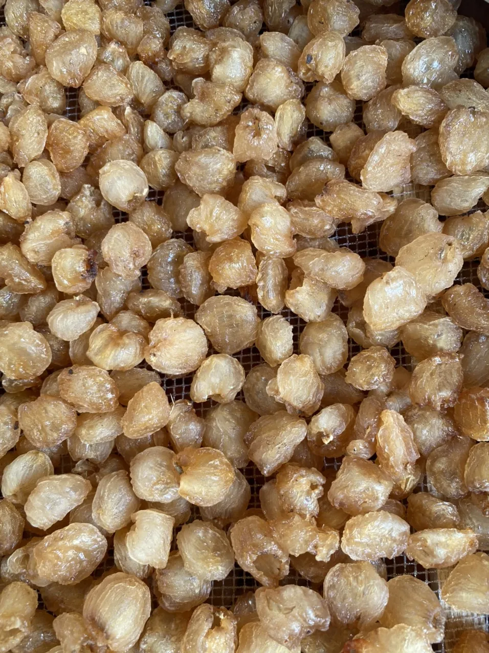 Dried Longan fruit pulp 100% Organic Meat Dried Longan Pulp Longan Dragon Eye High Quality In Vietnam