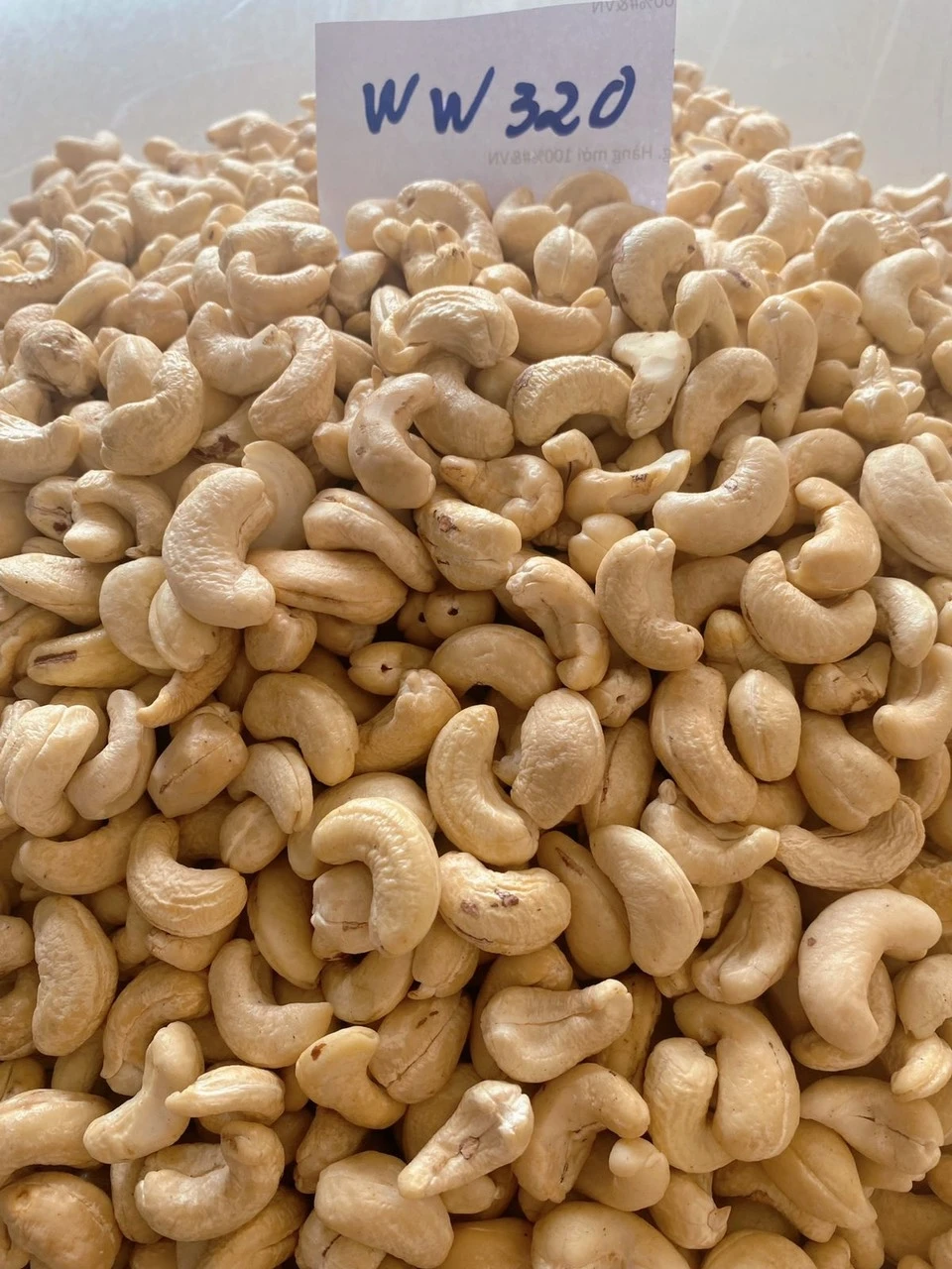 Hot Selling best price Raw  Cashew Nuts W180 W240 W320 W450 WW320 Dried Cashew from Vietnam