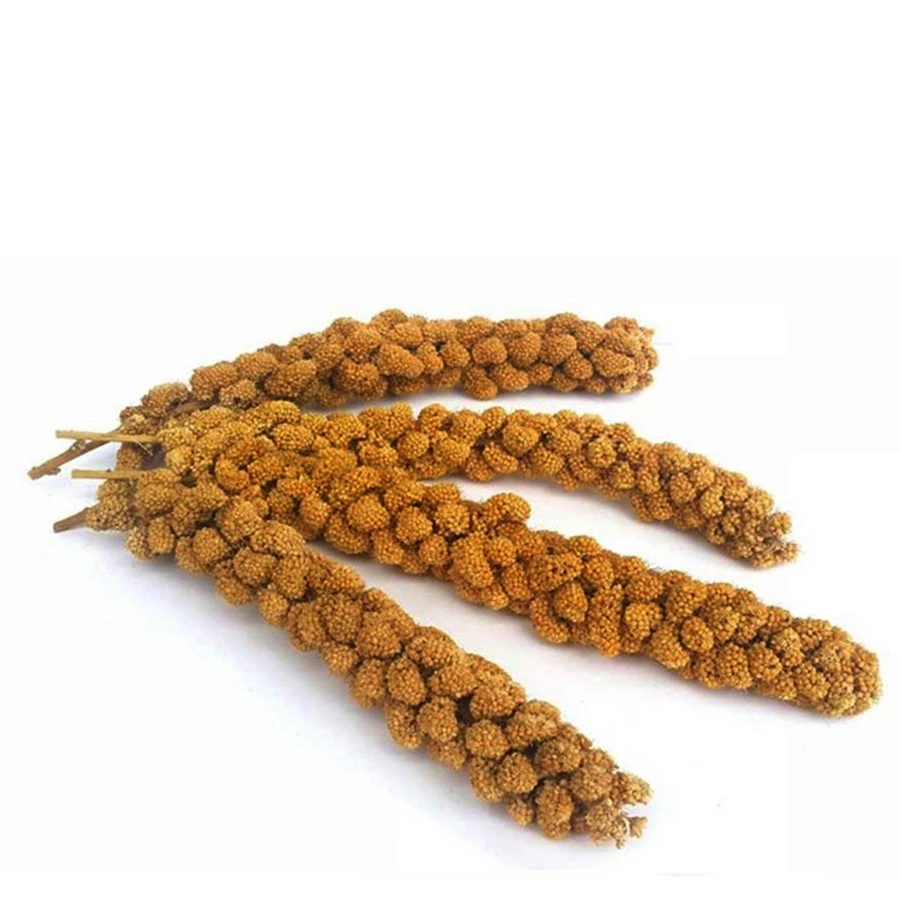  Quik Nature Millet
