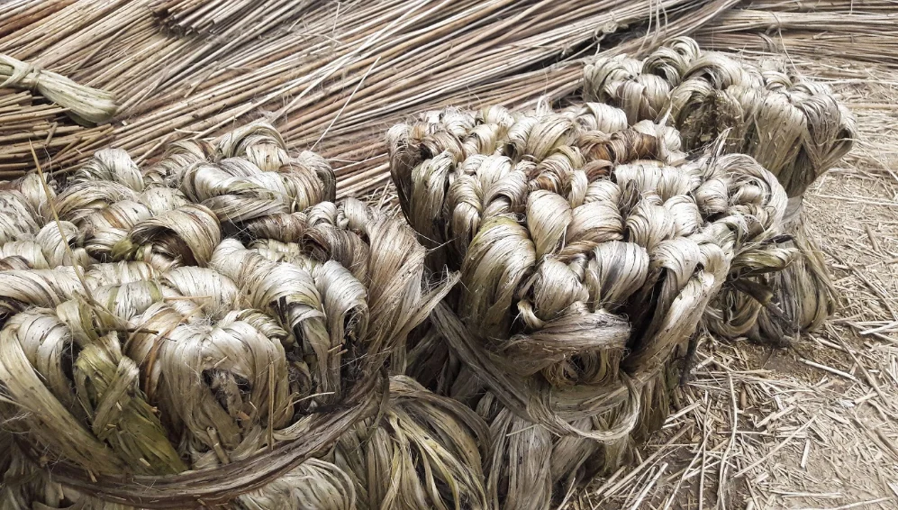 Top Selling Best Quality Exportable 100% Natural Raw Jute Sustainable Moisture Eco-Friendly from Bangladesh