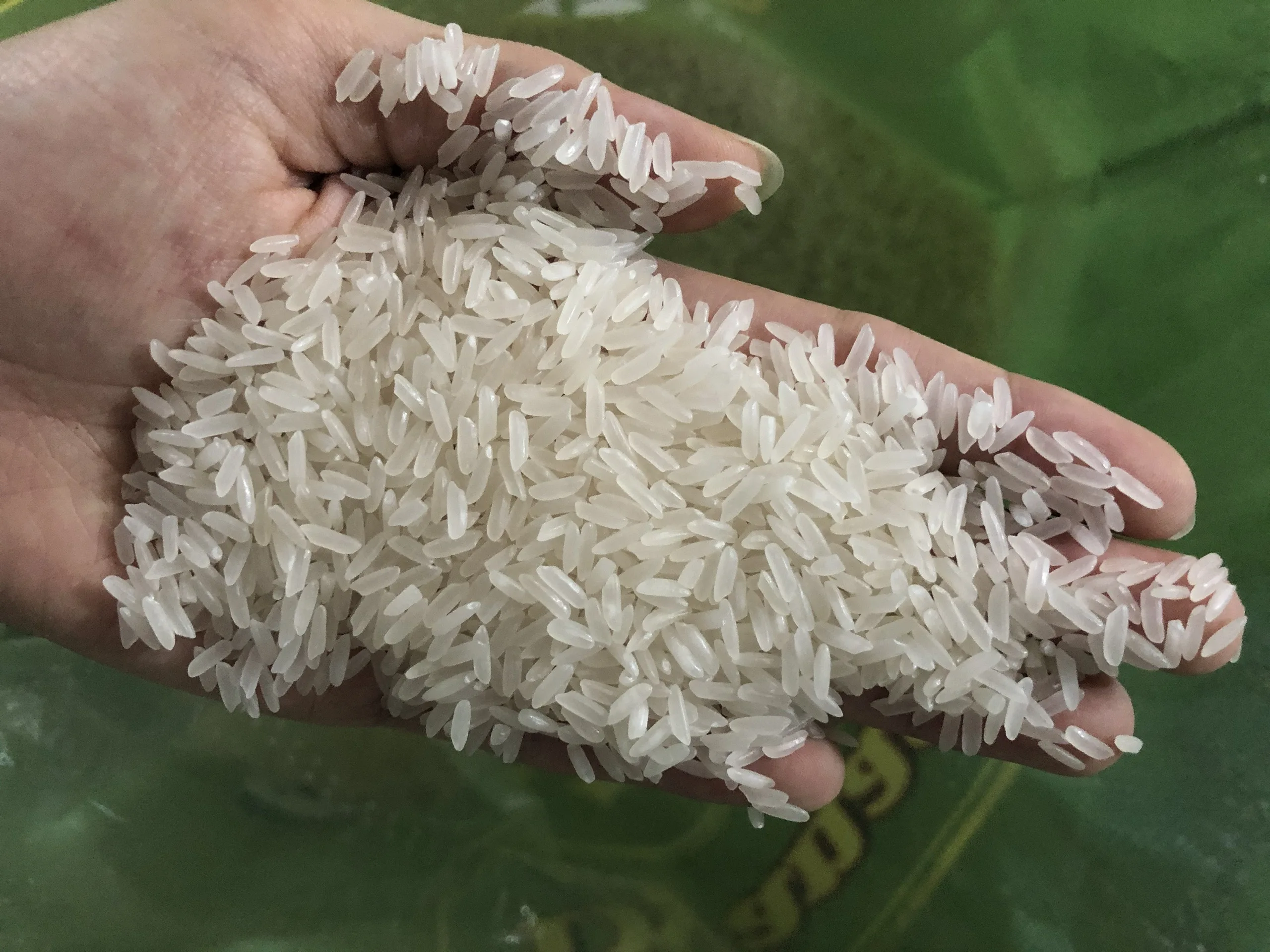 old crop jasmine rice Vietnam  for Singapore market