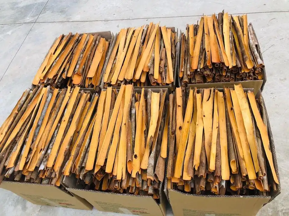NEWEST CROP SPLIT CASSIA CINNAMON PRESSED CASSIA | Ms Lynn +84333421999 Whatsapp