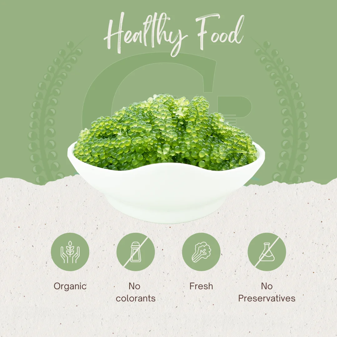 Сушеный соленый морской виноград с застежкой-молнией 100 г из Вьетнама морские водоросли umibudo lato зеленая Икра