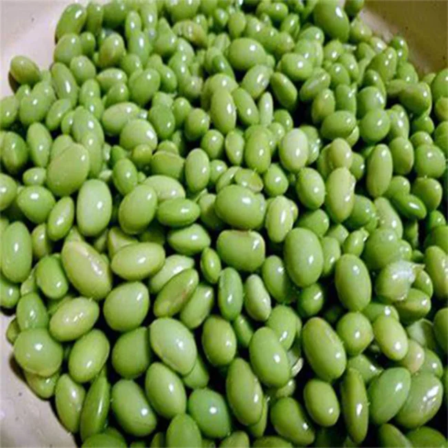 
bulk frozen green beans cheap price 