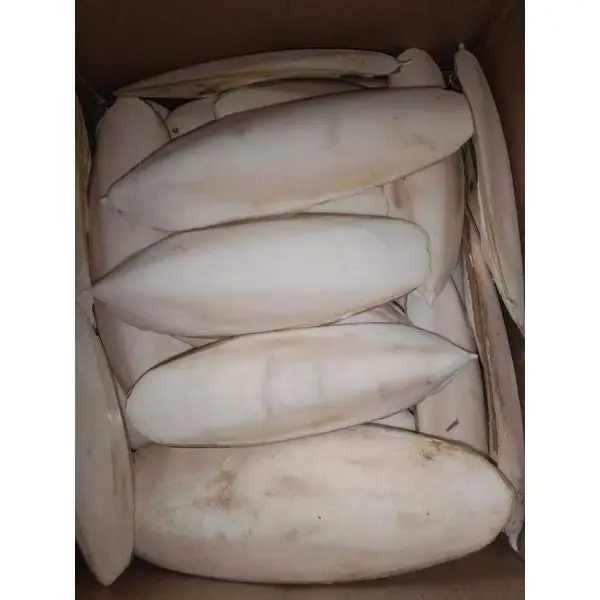 Купить птичьи кормовые