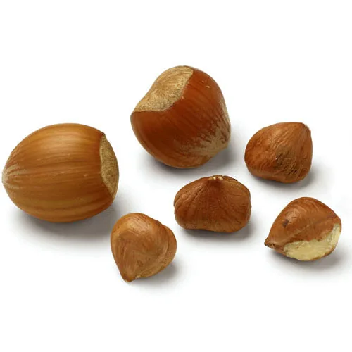 Quality Organic Hazelnuts / Hazelnuts In Shells / Roasted Organic  Original Hazelnuts For Sale .