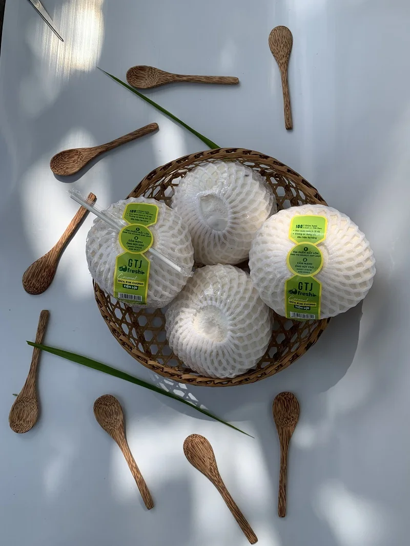 100% Fresh 4 Weeks Usage Green Convenient Diamond Cut Shape For Drink From Mekong Delta Vietnam Coconut Fruit