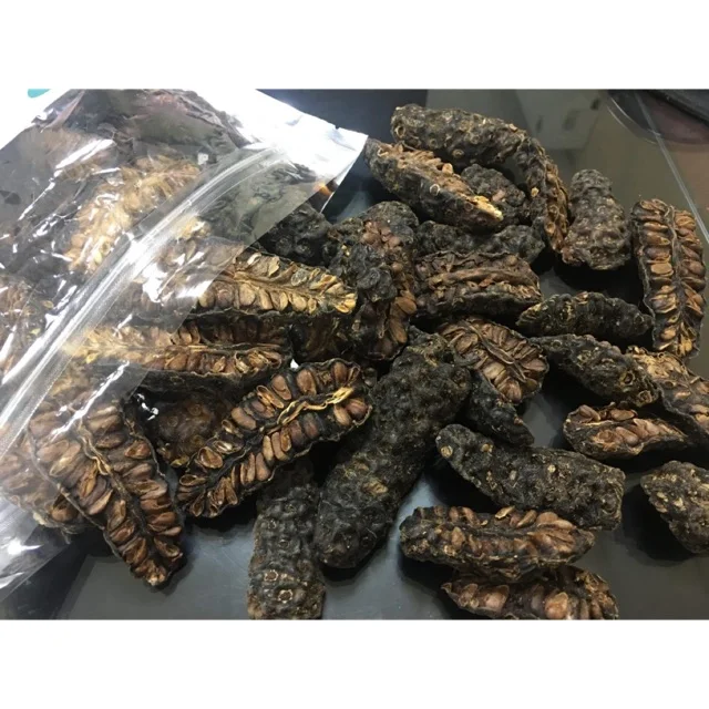 Best Price with High Quality Noni Leaves Morinda Citrifolia Leaves from VietNam