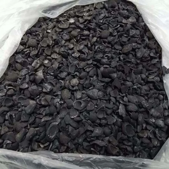 Top Quality Palm Kennel Shell - %100 Best Quality / Coconut shell , Walnut Shell