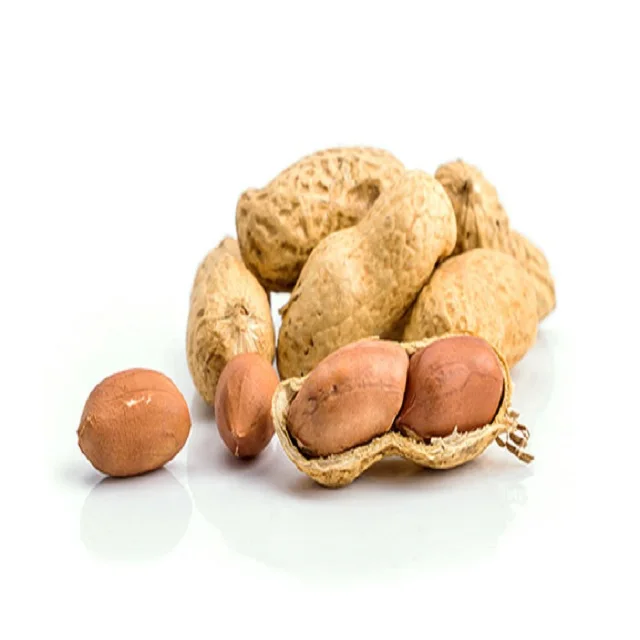 Keeping it real. Peanuts or Groundnuts Ready to Exports