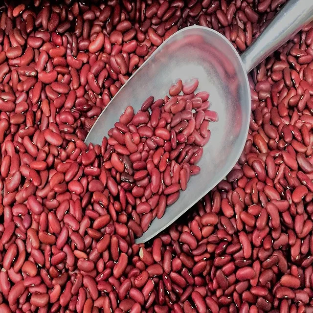 Оптовая продажа Pinto Bean красная зернистая фасоль