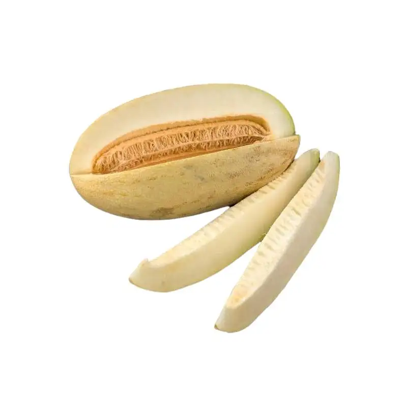 Great quality sweet juicy melons Torpeda melon from Uzbekistan manufacturer wholesale price for export