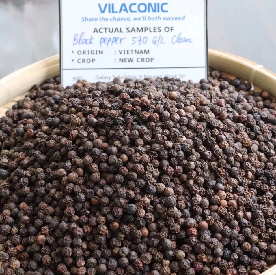 HIGH QUALITY BLACK PEPPER 500g/l - 600g/l FAQ AND ASTA FOR INDIA MARKET - TRACY +84 969 800 854