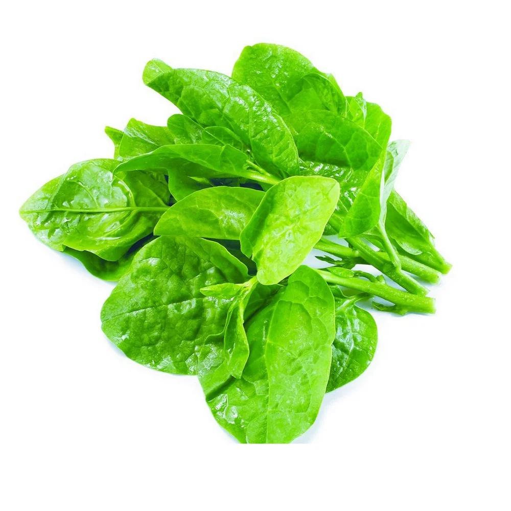 Malabar spinach vegetables (Global GAP)