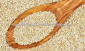 Традиционный индийский хиноа по низкой цене