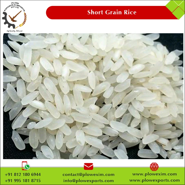 India Manufacture Short Grain Raw Rice Swarna Rice 5% Broken Short Grain Swarna Rice