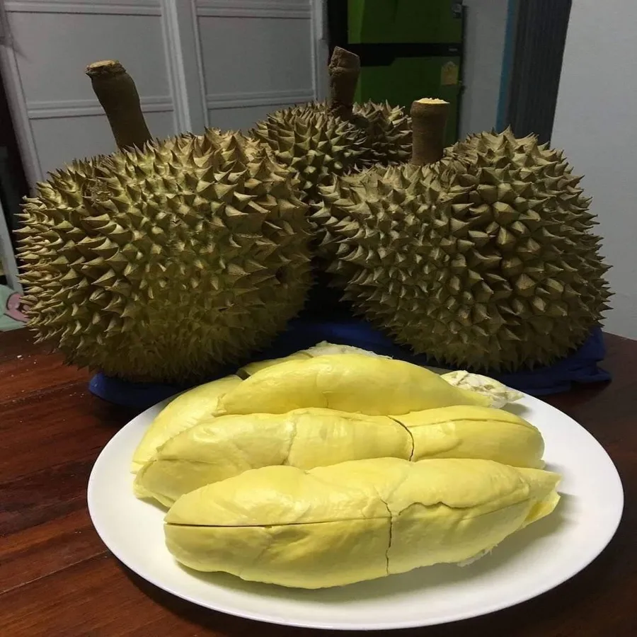 
Kan Yao from Thailand Durians Fresh Fruit with High Quality 
