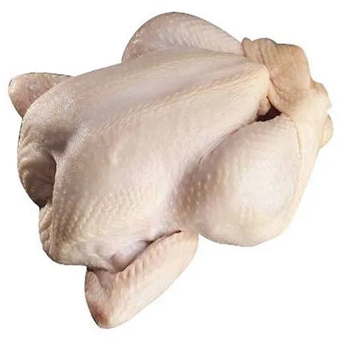 Frozen Chicken Fresh Whole/ Feet/ Legs Quarters
