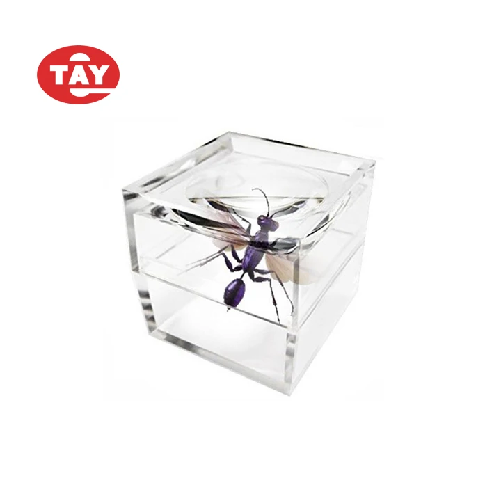 Clear Acrylic Cubic Magnifier Jar Insect box Bug Viewer for Kids