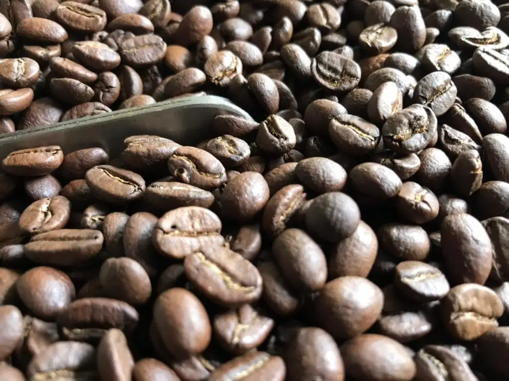 
ROBUSTA PREMIUM WHOLE BEANS 100% PURE COFFEE +84905010988 