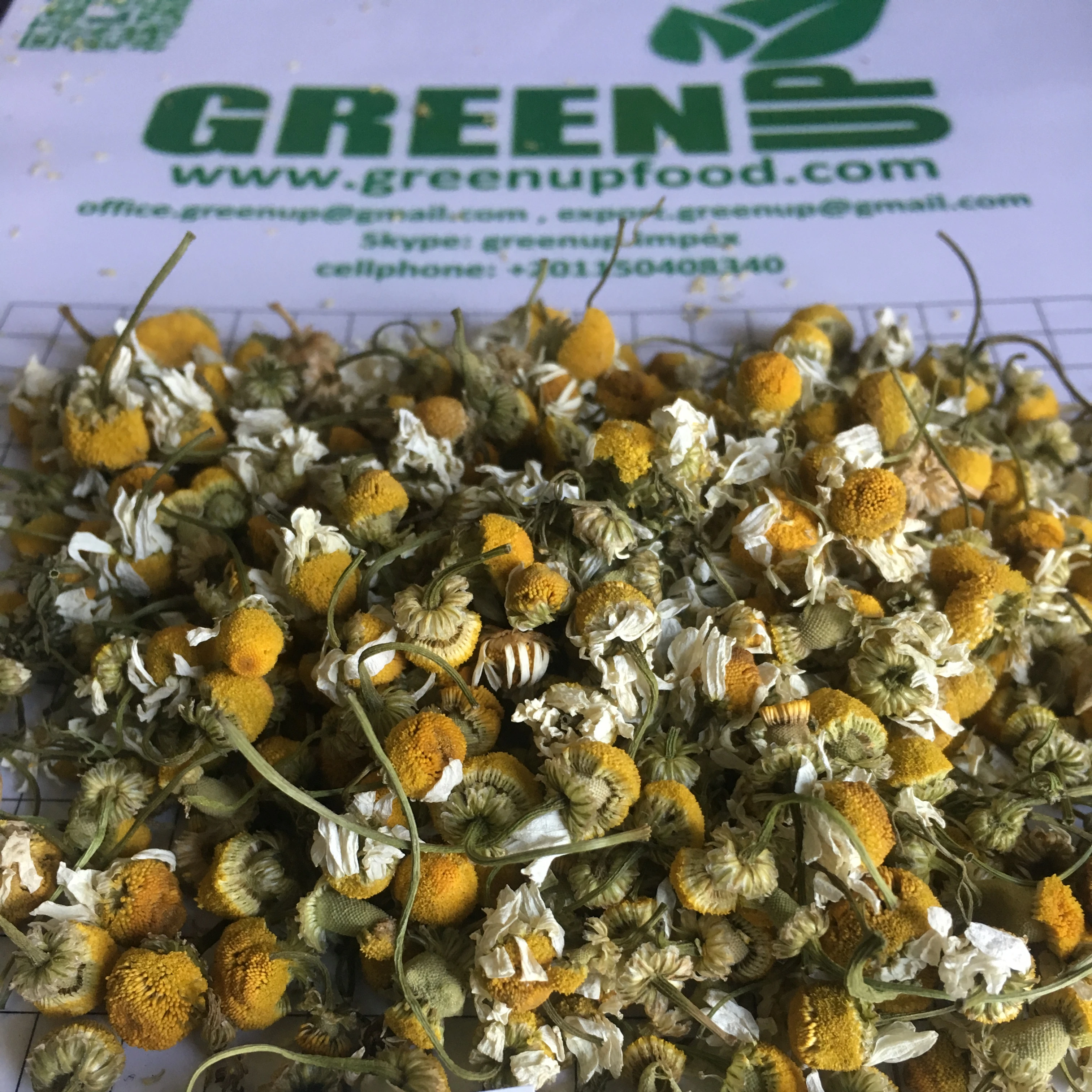 Ромашка, Цельные цветы, высокое качество, без стебля, без порошка, подходит для чая, и мы контролируем размер цветка, свежий урожай manzanilla