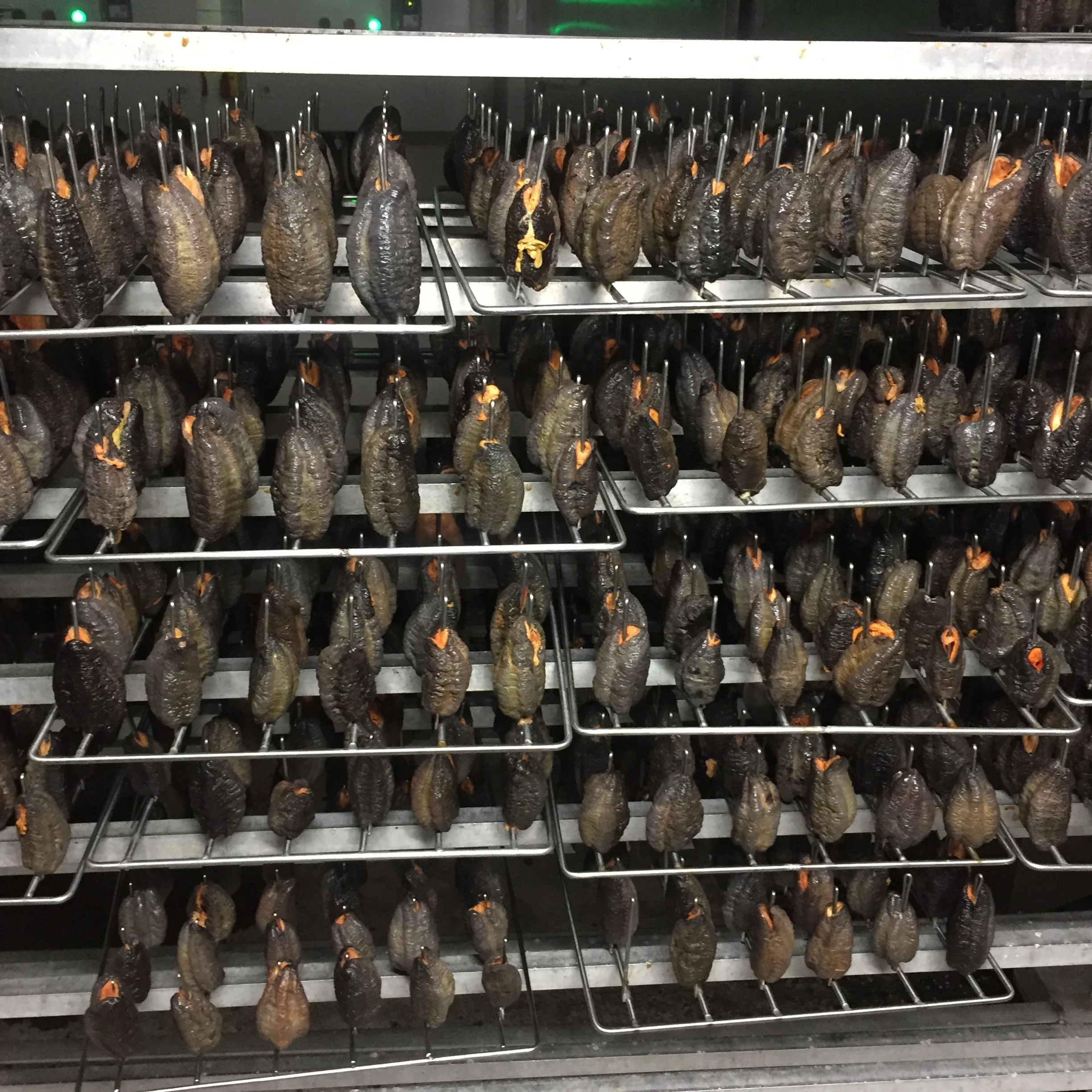 Industrial hot air sea cucumber drying oven