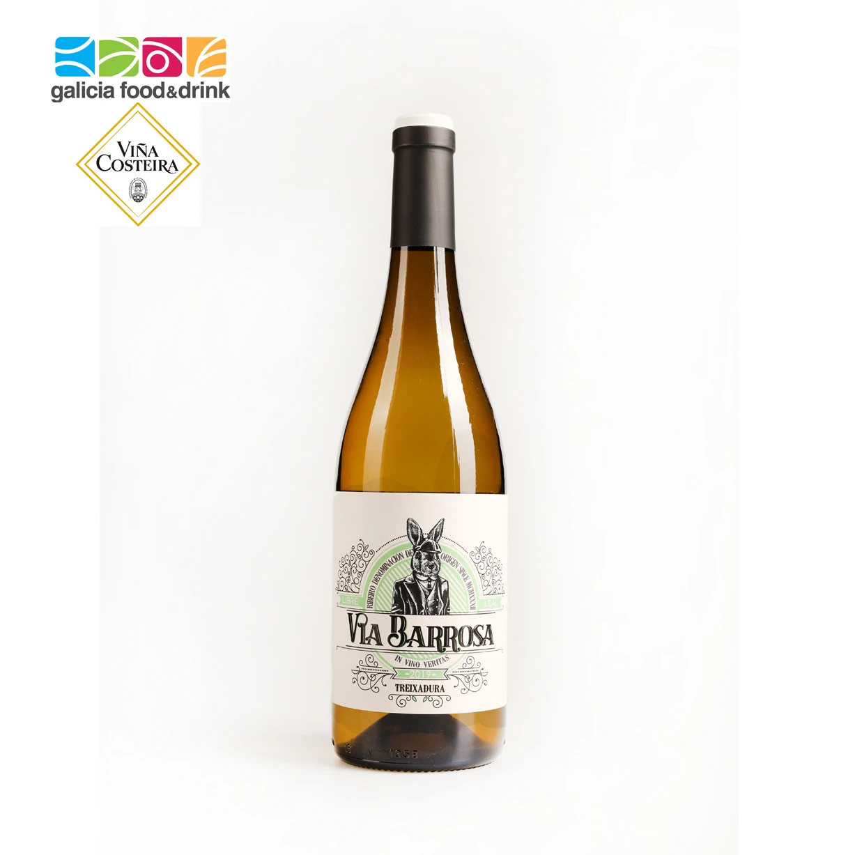 Белое вино Via Barrosa Treixadura 2020, испанское вино [Vina Costeira]