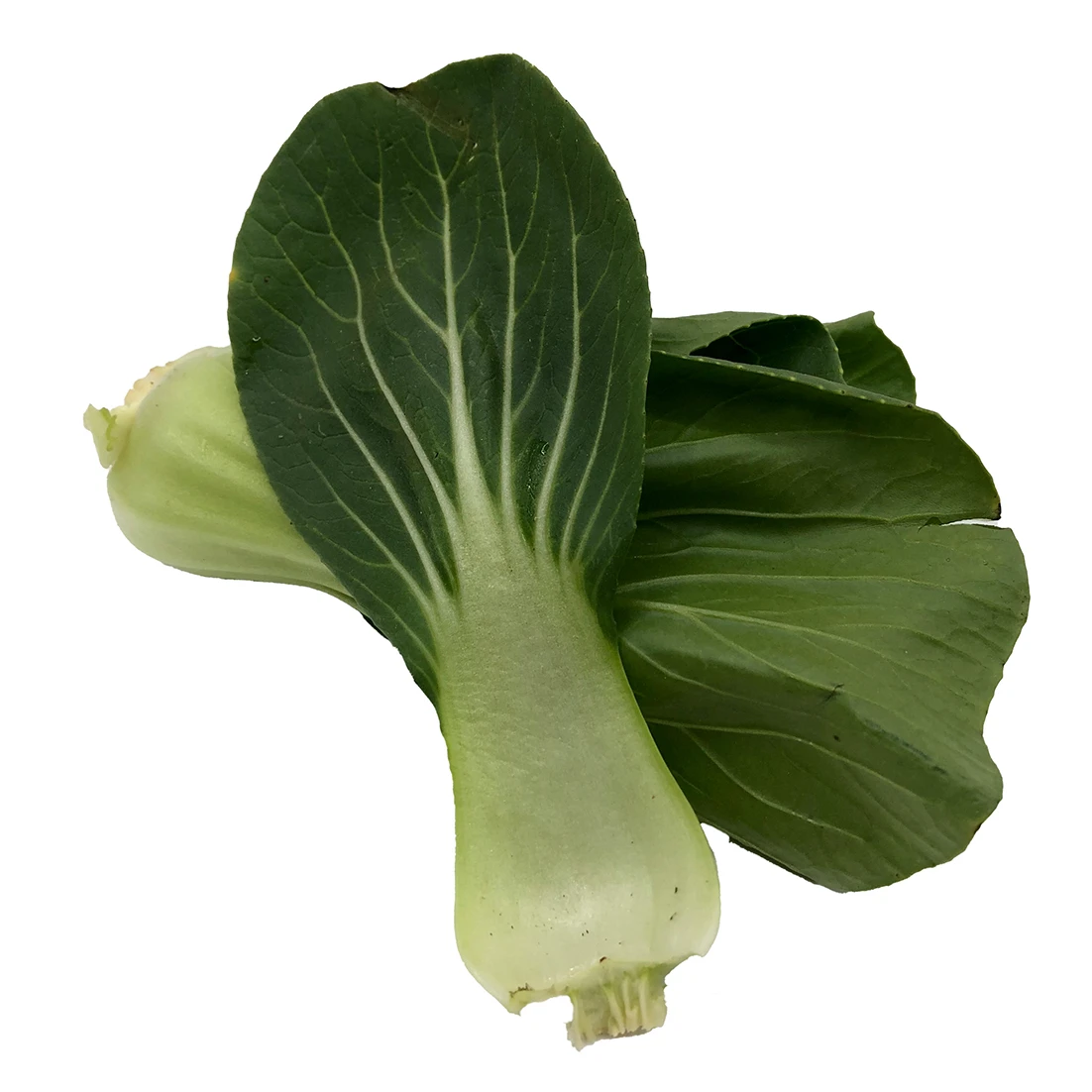 Imported Quality Super Fresh Cheap Price Box Packing Top Grade Selecting Other Fresh Vegetables Pak Choi Ready to Eat