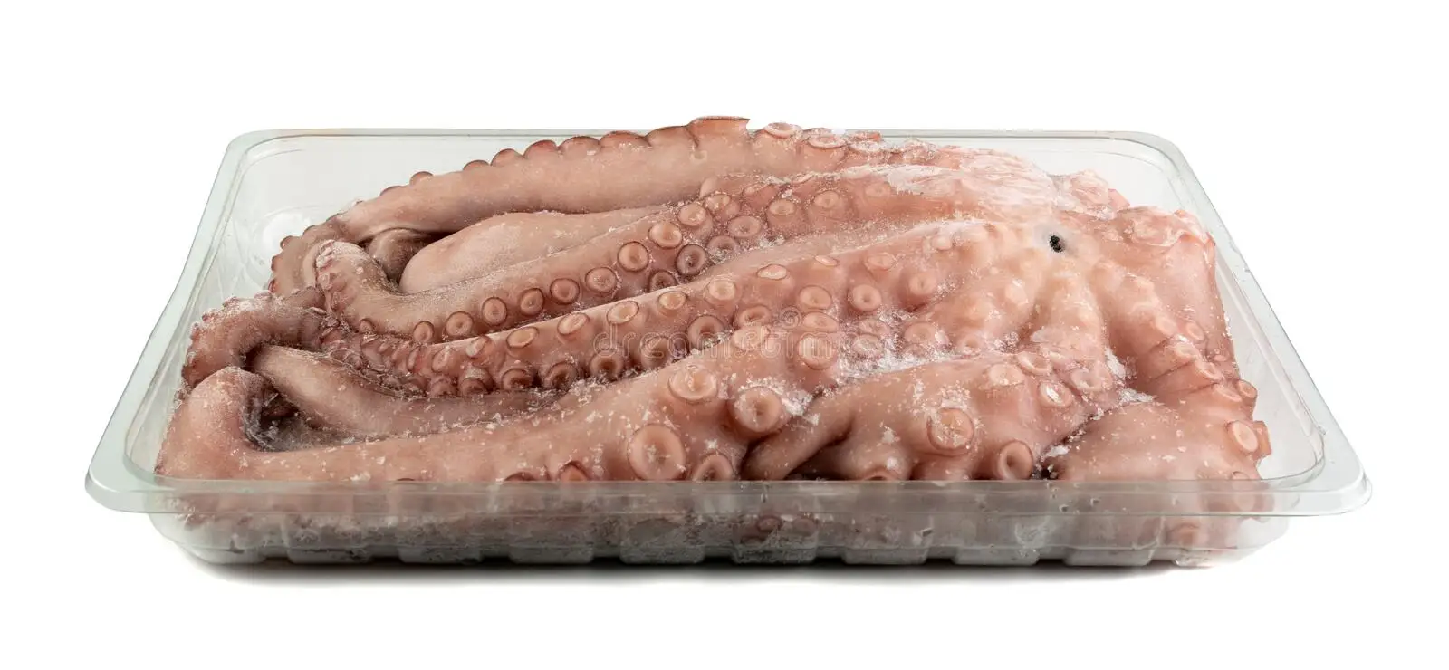 Frozen Octopus Baby Octopus Fresh Seafood