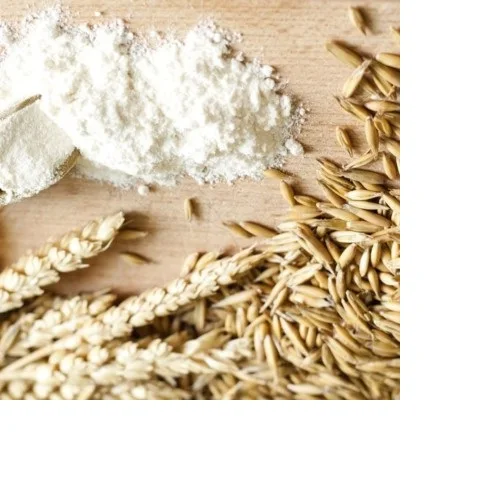 Best Quality Supplier Wheat Flour For Sale In Cheap Price