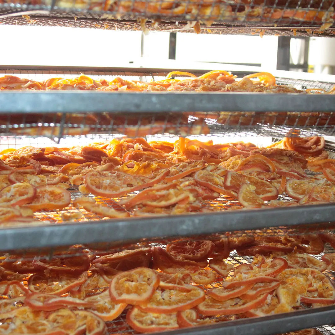 Soft Dried Navel Orange With Special Taste 100% Natural Best Price From Vietnam