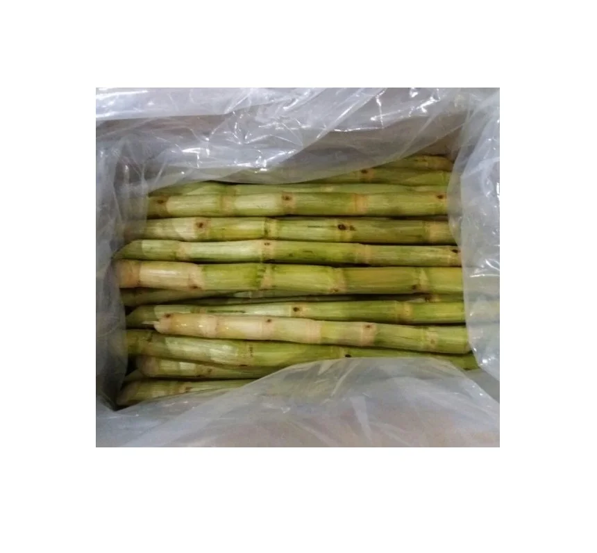Популярный товар свежий сахарный тростник для вкусного сока замороженный экспорт из