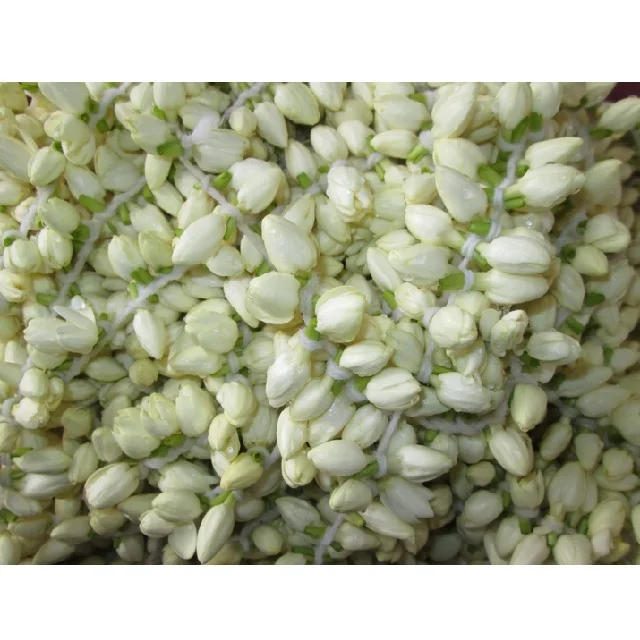 Jasmine String Fresh Flower for decoration Quality Braid Hair Indian Natural Hand Made Flowers Exporters Producers