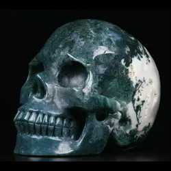 Mr Skull Wholesale Crystals 5 inches Green Moss Agate Skulls Large  Home Crystal Decor   Natural Gemstone Crystal