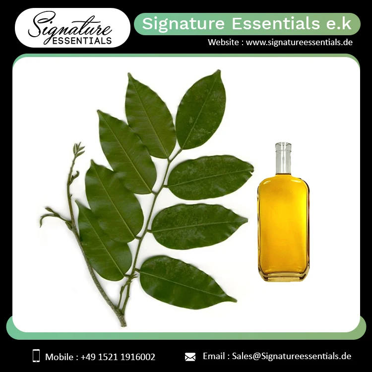 Bulk Selling Pure and Natural Balsam Peru Essential Oil Face Body and Hair Growth Use