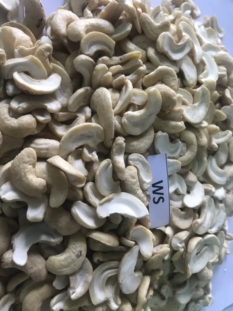 100% natural no additives nuts kernels dried cashew on sale W180 W210 W240 W320 W450 WS LP