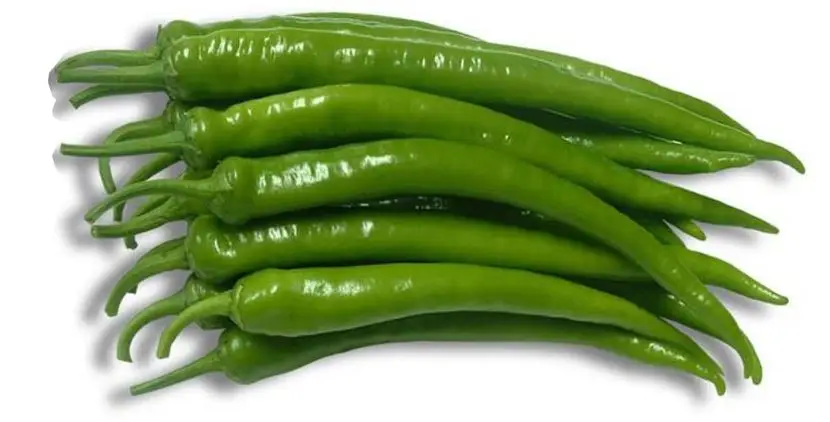 FRESH CAPSICUM ORJIN TURKEY Red  Chile Pepper Stuffed  Lobna pepper Charleston Hungarian Bell Stuffed Peppers