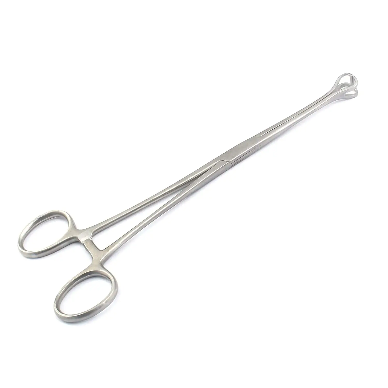 Babcock Forceps 16cm / 20cm  Tissue Grasping Intestinal Surgical Instruments