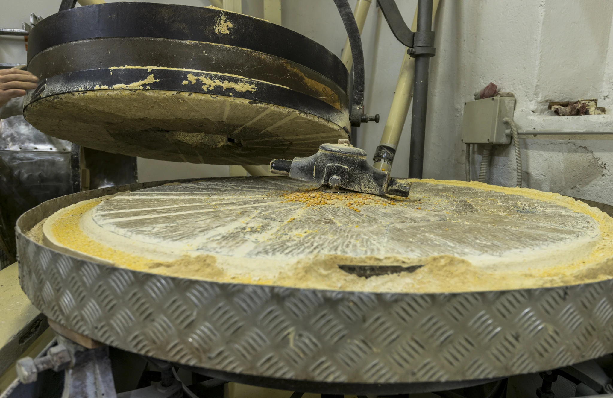 100% made in Italy Corn flour yellow for polenta  1bags/1 ton polenta ready in 45 minutes kosher glutenfree