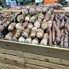 Top Quality Cleaning Fresh Long Taro Wholesale Price Fresh Long taro Vegetables Exporter